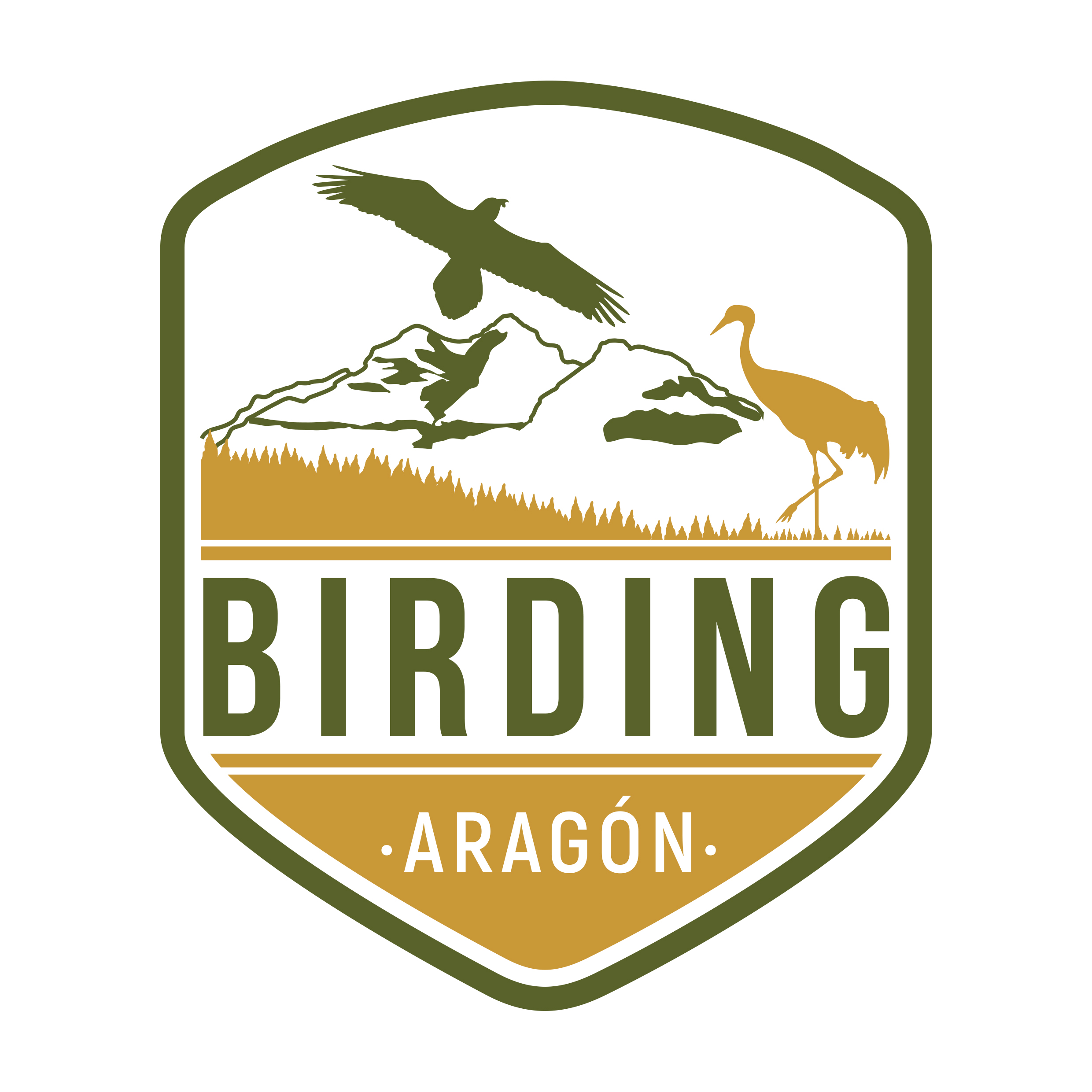 Birding Aragón